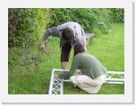 IMG_1236 * 3072 x 2304 * (4.17MB)