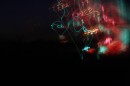 IMG_2972 * 3888 x 2592 * (2.53MB)